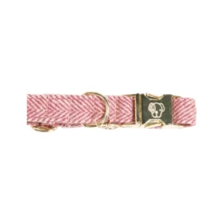Kentucky Dogwear Hundehalsband Wool 30 Kentucky Dogwear Hundehalsband Wool -Katzen Hundebedarf Geschäft kentucky dogwear hondenhalsband wool 219709 0500 none