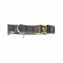 Kentucky Dogwear Hundehalsband Wool 26 Kentucky Dogwear Hundehalsband Wool -Katzen Hundebedarf Geschäft kentucky dogwear hondenhalsband wool 219713 0500 none