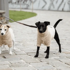 Kentucky Dogwear Hundejacke Teddy Fleece -Katzen Hundebedarf Geschäft kentucky dogwear hondenjas teddy fleece 219186 0500 none