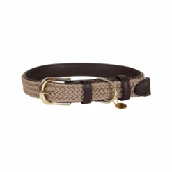 Kentucky Dogwear Nylon Hundehalsband -Katzen Hundebedarf Geschäft kentucky dogwear nylon hondenhalsband 219176 0500 none