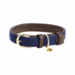Kentucky Dogwear Nylon Hundehalsband -Katzen Hundebedarf Geschäft kentucky dogwear nylon hondenhalsband 219180 0500 none