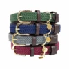 Kentucky Dogwear Nylon Hundehalsband 2 Kentucky Dogwear Nylon Hundehalsband -Katzen Hundebedarf Geschäft kentucky dogwear nylon hondenhalsband 219181 0500 none