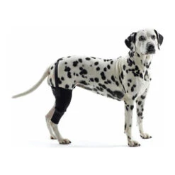 Kruuse Rehab Knieschutz