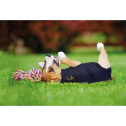 Medical Pet Shirt Hund -Katzen Hundebedarf Geschäft medical pet shirt hond 149981 0500 none