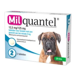 Milquantel Hund -Katzen Hundebedarf Geschäft milquantel hond 112622 0500 none