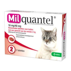 Milquantel Katze -Katzen Hundebedarf Geschäft milquantel kat 112607 0500 none