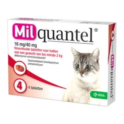 Milquantel Katze -Katzen Hundebedarf Geschäft milquantel kat 112610 0500 none