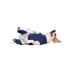 MPS-HLS Hinterbeinschutz -Katzen Hundebedarf Geschäft mps hls achterpootmouwtjes 167440 0500 none