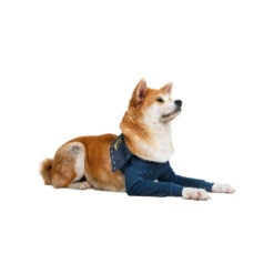 MPS-TAZ2 Vorderpfotenschutz -Katzen Hundebedarf Geschäft mps taz2 voorpootmouwtjes 167446 0500 none