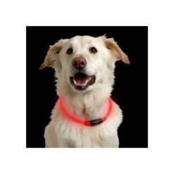 Nite Ize NiteHowl LED Safety Necklace 8 Nite Ize NiteHowl LED Safety Necklace -Katzen Hundebedarf Geschäft nite ize nitehowl led safety necklace 89526 0500 none