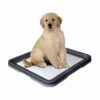 Nobby Doggy Trainer & Pads 1 Nobby Doggy Trainer & Pads -Katzen Hundebedarf Geschäft nobby doggy trainer 130274 0500 none