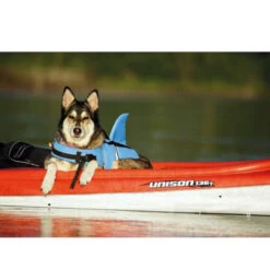 Nobby Hundeschwimmweste Sharki 8 Nobby Hundeschwimmweste Sharki -Katzen Hundebedarf Geschäft nobby sharki hondenzwemvest 221666 0500 none