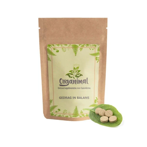 Organimal Verhalten In Balance Für Katzen 3 Organimal Verhalten In Balance Für Katzen