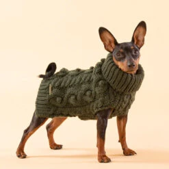 PAIKKA Handmade Knit Sweater -Katzen Hundebedarf Geschäft paikka handmade knit sweater green 217735 0500 none