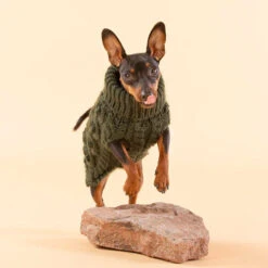 Katzen Hundebedarf Geschäft -Katzen Hundebedarf Geschäft paikka handmade knit sweater green 217736 0500 none