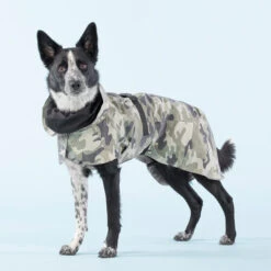 PAIKKA Recovery Raincoat Camo -Katzen Hundebedarf Geschäft paikka recovery raincoat camo 217730 0500 none