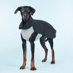 Katzen Hundebedarf Geschäft -Katzen Hundebedarf Geschäft paikka recovery winter shirt 217788 0500 none