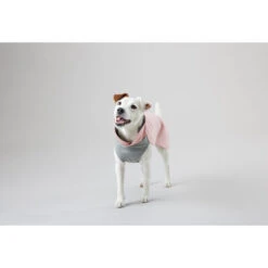 PAIKKA Recovery Winter Shirt -Katzen Hundebedarf Geschäft paikka recovery winter shirt 217791 0500 none