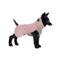 PAIKKA Recovery Winter Shirt -Katzen Hundebedarf Geschäft paikka recovery winter shirt 217792 0500 none