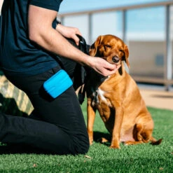 Popware Pooch Pouch Treatbag 9 Popware Pooch Pouch Treatbag -Katzen Hundebedarf Geschäft popware pooch pouch treatbag 164698 0500 none