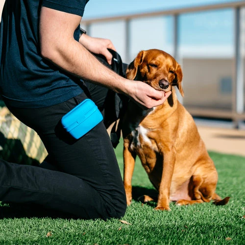 Popware Pooch Pouch Treatbag 6 Popware Pooch Pouch Treatbag – Bild 4