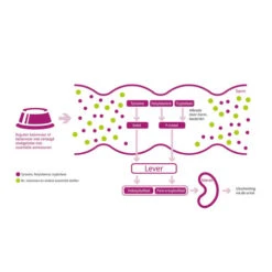 Porus One 7 Porus One -Katzen Hundebedarf Geschäft porus one 134455 0500 none