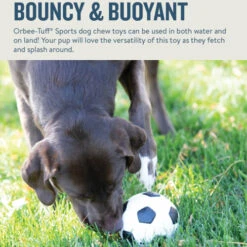 Planet Dog Orbee-Tuff Soccer Ball -Katzen Hundebedarf Geschäft prod 14590 203615 0500 none