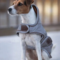 Kentucky Hundemantel Reflective & Waterrepellent -Katzen Hundebedarf Geschäft prod 15746 219013 0500 none