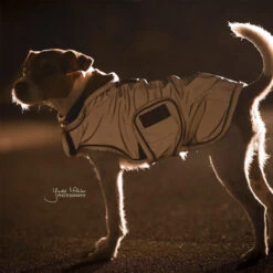 Kentucky Hundemantel Reflective & Waterrepellent -Katzen Hundebedarf Geschäft prod 15746 219015 0500 none