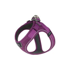 DOG Copenhagen Comfort Walk Go Geschirr -Katzen Hundebedarf Geschäft prod 15940 220323 0500 none