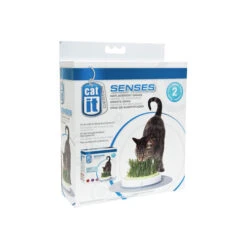 Catit Senses Katzengrassamenset -Katzen Hundebedarf Geschäft product catit senses grass garden none 4 1465980441 69891