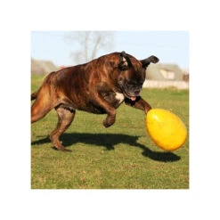 Jolly Egg -Katzen Hundebedarf Geschäft product jolly egg none 4 1496839893 86965