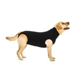 Suitical Recovery Suit Hund - Schwarz