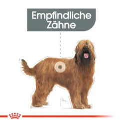 Royal Canin Maxi Dental Care - Hundefutter -Katzen Hundebedarf Geschäft royal canin dental care maxi hondenvoer 130862 0500 none
