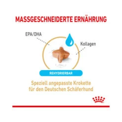 Royal Canin German Shepherd Adult 5+ -Katzen Hundebedarf Geschäft royal canin german shepherd adult 5 165106 0500 none