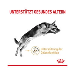 Royal Canin German Shepherd Adult 5+ -Katzen Hundebedarf Geschäft royal canin german shepherd adult 5 165112 0500 none