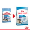 Royal Canin Giant Starter Mother & Babydog - Hundefutter -Katzen Hundebedarf Geschäft royal canin giant starter mother babydog hondenvoer 206699 0500 none