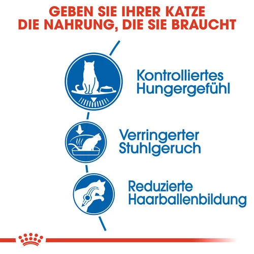 Royal Canin Indoor Appetite Control - Katzenfutter 5 Royal Canin Indoor Appetite Control - Katzenfutter – Bild 3