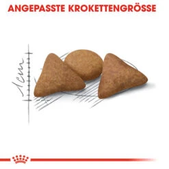 Royal Canin Indoor Appetite Control - Katzenfutter 12 Royal Canin Indoor Appetite Control - Katzenfutter -Katzen Hundebedarf Geschäft royal canin indoor appetite control kattenvoer 127229 0500 none