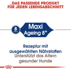 Royal Canin Maxi Ageing 8+ - Hundefutter -Katzen Hundebedarf Geschäft royal canin maxi ageing 8 hondenvoer 128699 0500 none