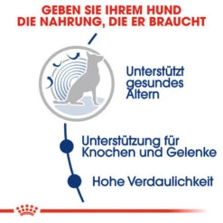 Royal Canin Maxi Ageing 8+ - Hundefutter -Katzen Hundebedarf Geschäft royal canin maxi ageing 8 hondenvoer 128705 0500 none