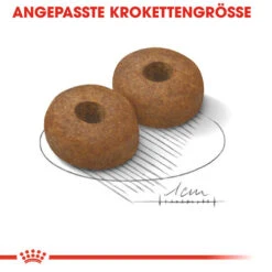 Royal Canin Maxi Ageing 8+ - Hundefutter -Katzen Hundebedarf Geschäft royal canin maxi ageing 8 hondenvoer 128714 0500 none