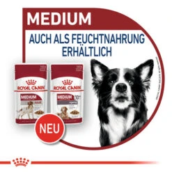Royal Canin Medium Adult Wet - Hundefutter -Katzen Hundebedarf Geschäft royal canin medium adult wet hondenvoer 143534 0500 none