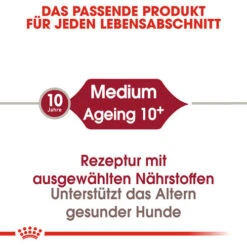 Royal Canin Medium Ageing 10+ - Hundefutter -Katzen Hundebedarf Geschäft royal canin medium ageing 10 hondenvoer 128810 0500 none
