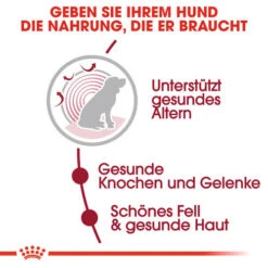 Royal Canin Medium Ageing 10+ - Hundefutter -Katzen Hundebedarf Geschäft royal canin medium ageing 10 hondenvoer 128816 0500 none