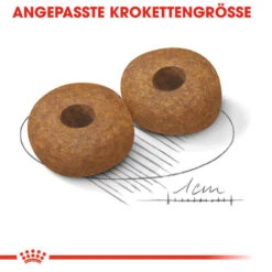 Royal Canin Medium Ageing 10+ - Hundefutter -Katzen Hundebedarf Geschäft royal canin medium ageing 10 hondenvoer 128822 0500 none