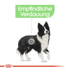 Royal Canin Medium Digestive Care - Hundefutter -Katzen Hundebedarf Geschäft royal canin medium digestive care hondenvoer 132788 0500 none