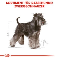 Royal Canin Mini Schnauzer Adult - Hundefutter -Katzen Hundebedarf Geschäft royal canin mini schnauzer adult hondenvoer 140074 0500 none