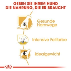 Royal Canin Mini Schnauzer Adult - Hundefutter -Katzen Hundebedarf Geschäft royal canin mini schnauzer adult hondenvoer 140092 0500 none