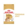 Royal Canin Pomeranian Adult - Hundefutter 2 Royal Canin Pomeranian Adult - Hundefutter -Katzen Hundebedarf Geschäft royal canin pomeranian adult hondenvoer 168909 0500 none